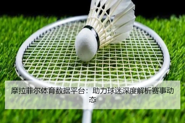 摩拉菲尔体育数据平台：助力球迷深度解析赛事动态